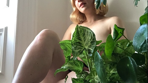 Airplant Angel 🌵 @airplantangel cover picture