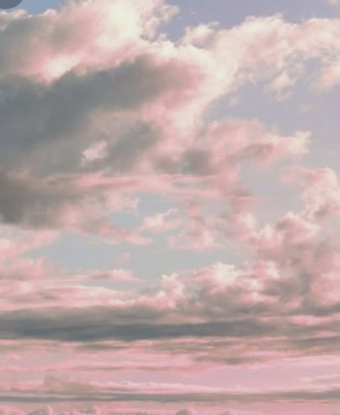 Scarlett Flora @alaskabombshell cover picture