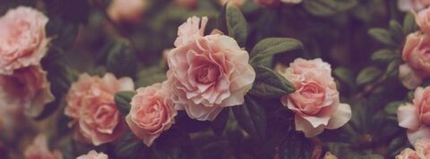 Aleyna @aleyna.free cover picture
