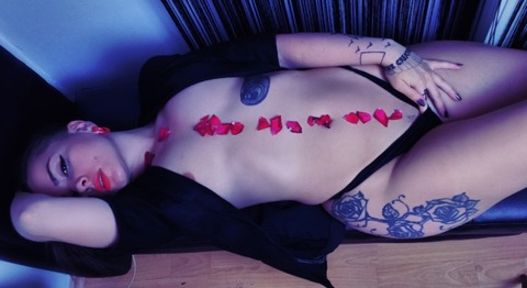 Ali Ramona @ali.ramona cover picture