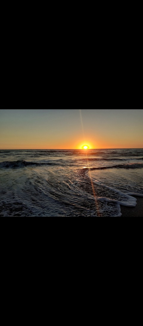 Jonathan H. @aliaselchoni cover picture