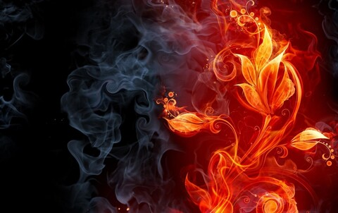 AlisaLove @alisa-love cover picture
