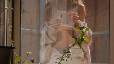 Alise Wild VIP💋 @alisewild cover picture