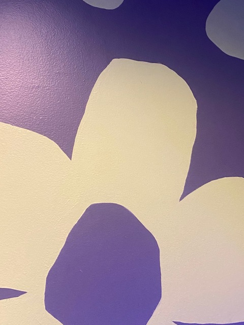 almondx She/Her @almondx cover picture