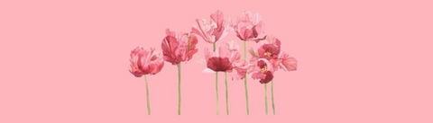 Alyssa 🌸  pretty pink pussy 🐱 @alyssa9 cover picture