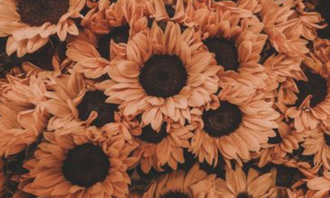 Ambar @ambari cover picture