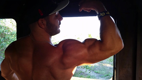 Amonflex @amonflex cover picture