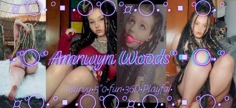 AmrwynWoods @amrwynwoods cover picture
