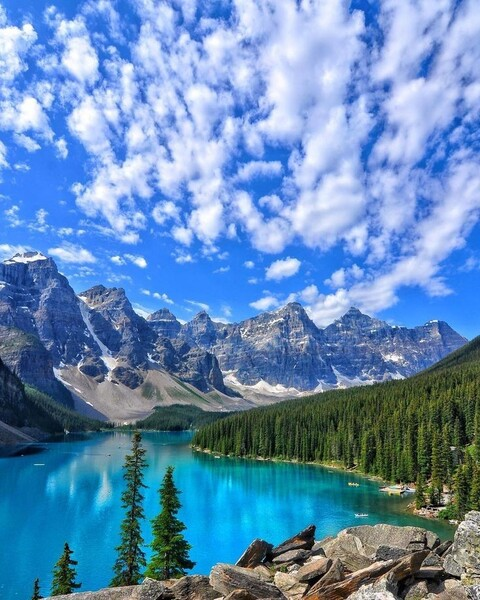 Ana.berryTj @ana.berrytj cover picture