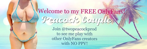 AndiPeacockDD @andipeacockdd cover picture