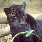 Onlyfans leak andre 

 profile picture