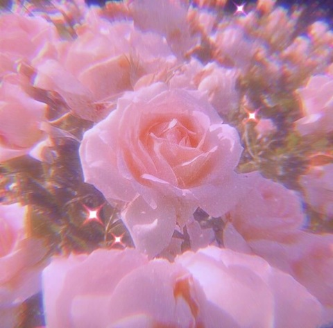 Ashlee🥵 @ashleebabyy_ cover picture