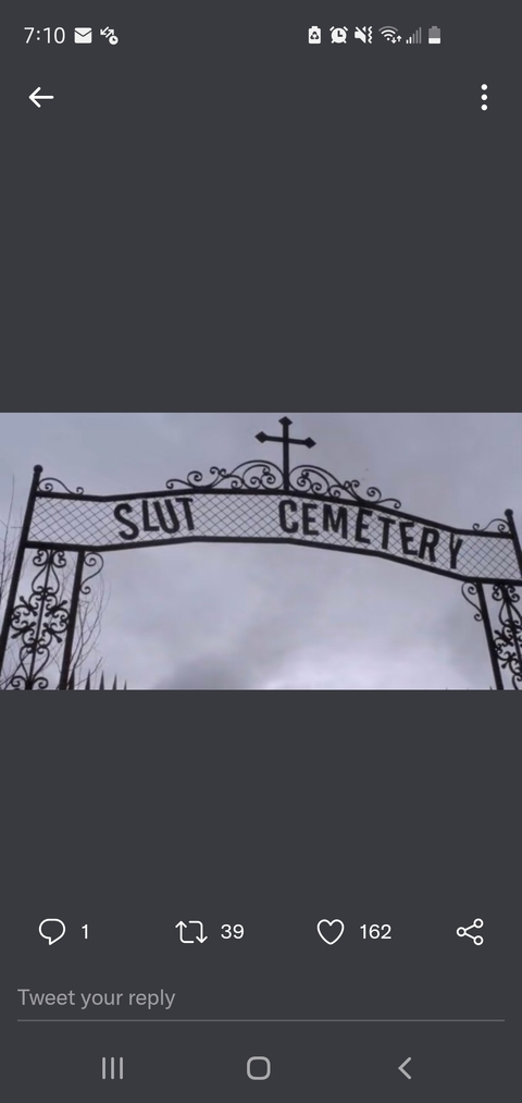 🕸 𝓐𝓼𝓱𝔁𝓦𝓮𝓭𝓷𝓮𝓼𝓭𝓪𝔂 🕸 @ashxwednesday cover picture