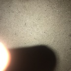 Onlyfans leak asianspade 

 profile picture