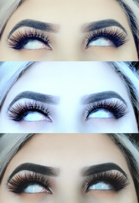 Aurora @aurorahhh cover picture