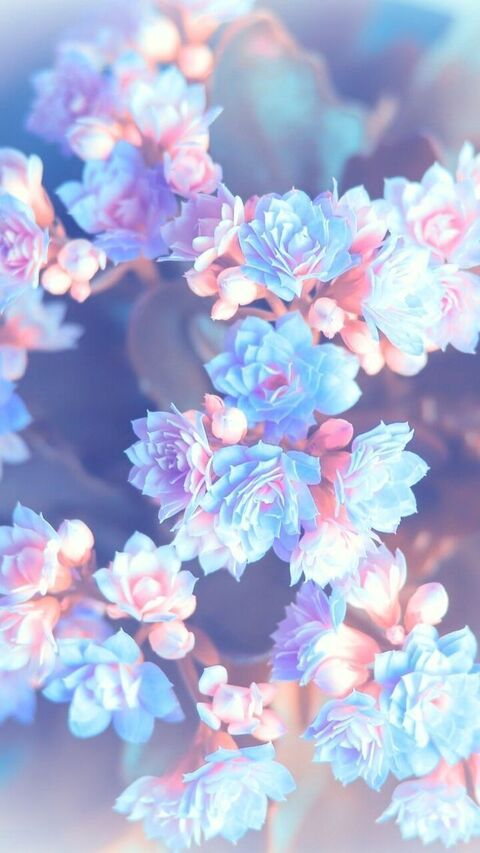 A @baabyblu cover picture