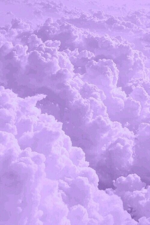 Andi🦋 @baby.andi cover picture