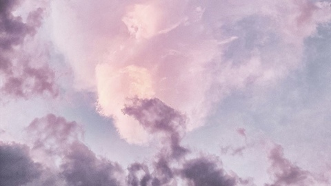 ♥︎ 𝒂𝒍𝒍𝒚 𝒂𝒅𝒆𝒍𝒊𝒏𝒆 ♥︎ @babytrash cover picture