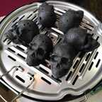 Download backes OnlyFans videos and photos for free 

 profile picture