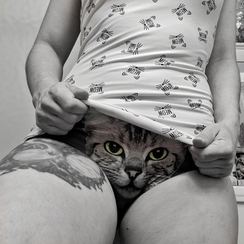 La Bacon @baconsbutt cover picture