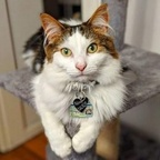 Leaked balrogmeowgoth onlyfans leaked