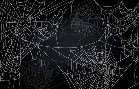 Batty Baddie 🕸 @battybaddie13 cover picture