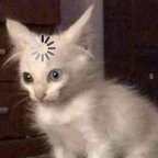 Onlyfans leaked batux 

 profile picture