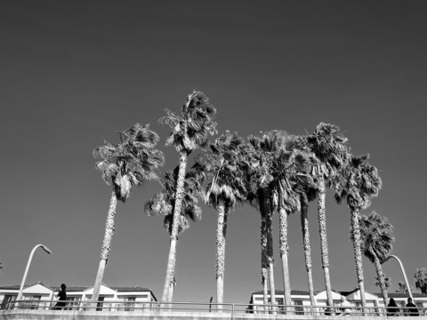 Justice @bbajustice cover picture