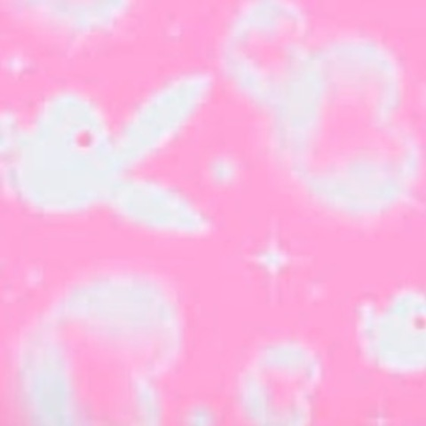 bbssaraa @bbssaraa cover picture