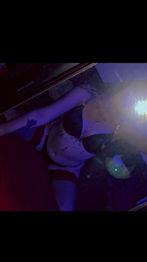 Beanie_Boo @beanie.boo.19 cover picture