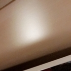 bella_rose (Bellarose99) OnlyFans Leaked Pictures and Videos 

 profile picture