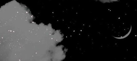 Bella Moon @bellaonthemoon cover picture