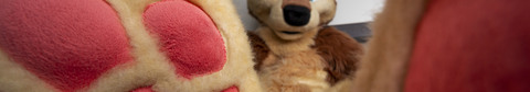 Big Pawbs @bigpawbs cover picture