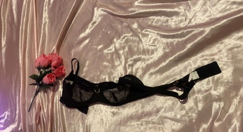 bunny @bimbobitch cover picture