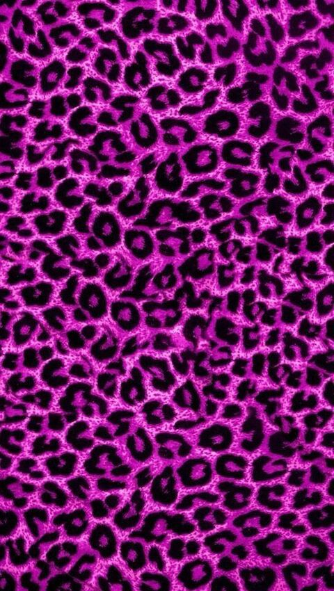 🔱 BiondinaSexy 🔱 @biondina.sexy cover picture