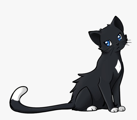 BlacKitty @blackitty1 cover picture