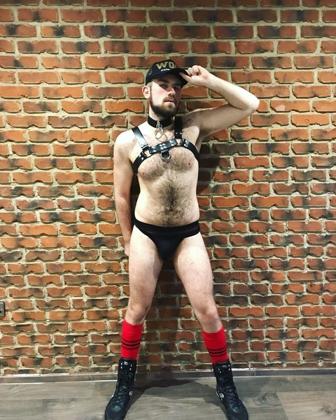 The Viking Gamer @blakethevikinggamer cover picture
