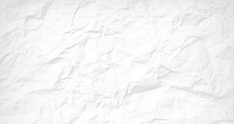 Blondie @blondie__ cover picture