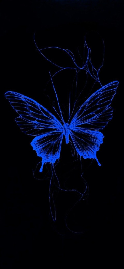 Blue✧*:.｡. @blubutterflies cover picture