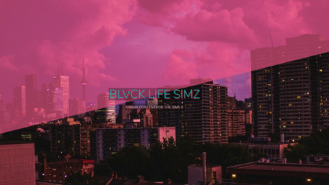 Header of blvcklifesimz