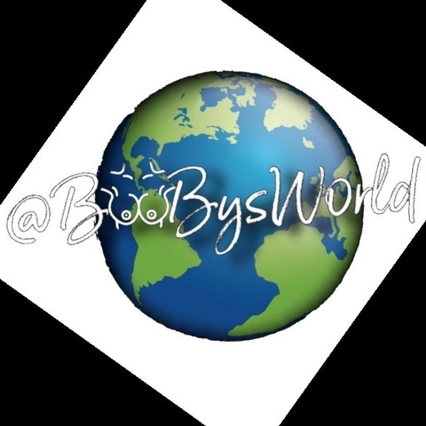 BooBys W🌏RLD @boobyworldent cover picture