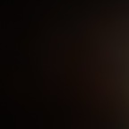 bootyfc OnlyFans Leak 

 profile picture