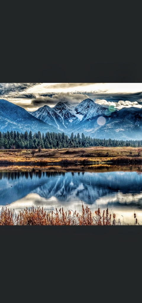 BootyPalace @bootypalace cover picture