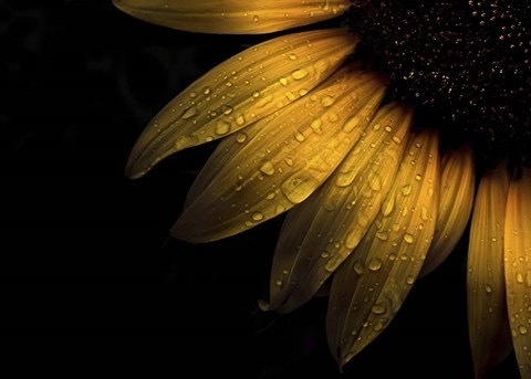 Bre @brebre06 cover picture