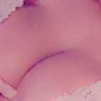 brendamarshall12 (Brenda) OnlyFans Leaks 

 profile picture