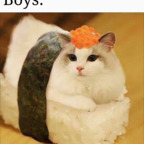 Download brighton OnlyFans videos and photos for free 

 profile picture