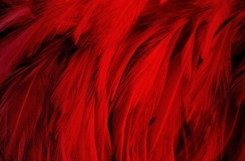 Brooke Moon @brookemoon cover picture