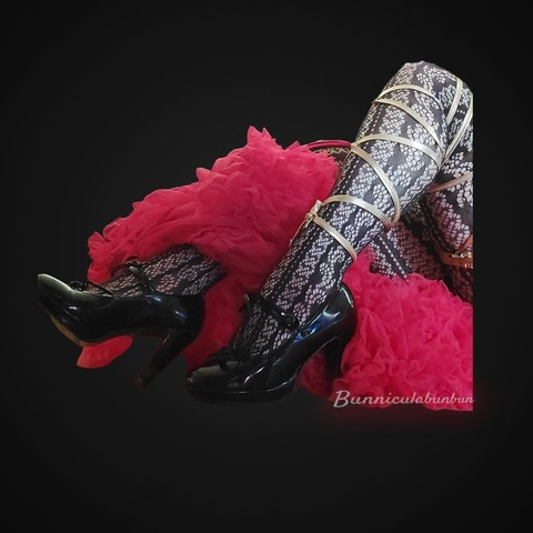 Bunnicula @bunniculabunbun cover picture