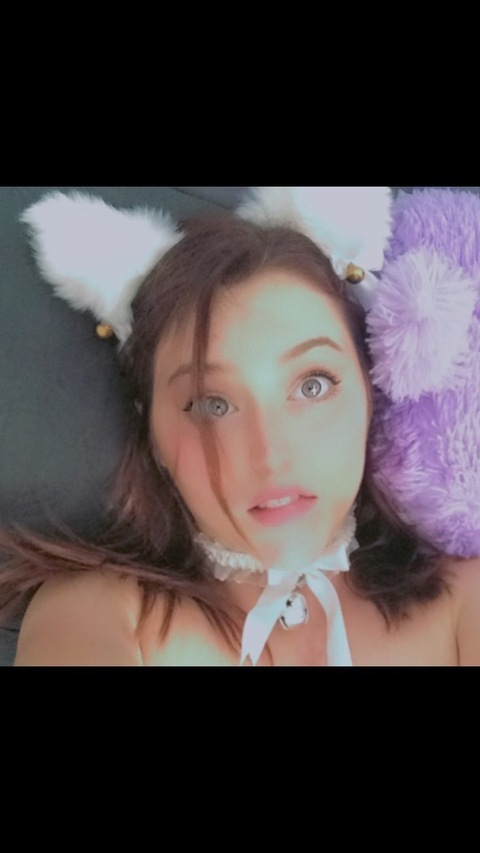 Bunny @bunny131313 cover picture