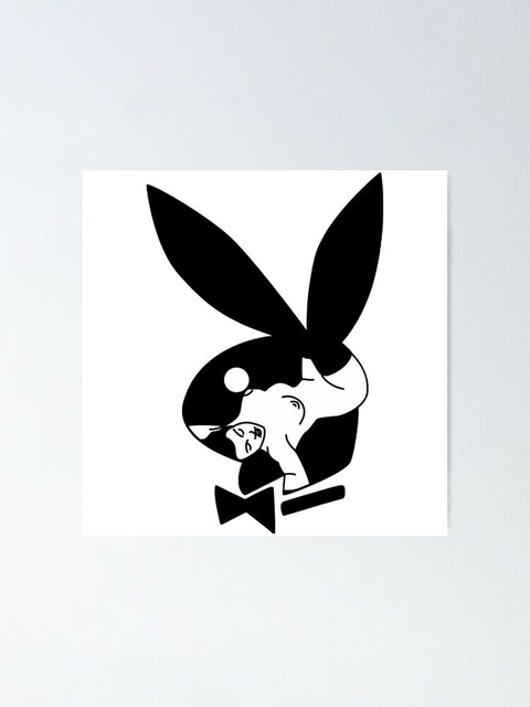 🤍 @bunnyhoppermami cover picture
